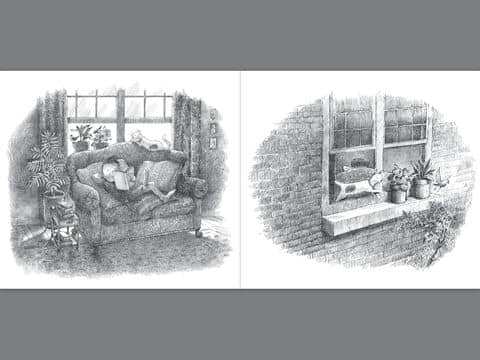 56119594_841959719492301_5421526132430209024_n