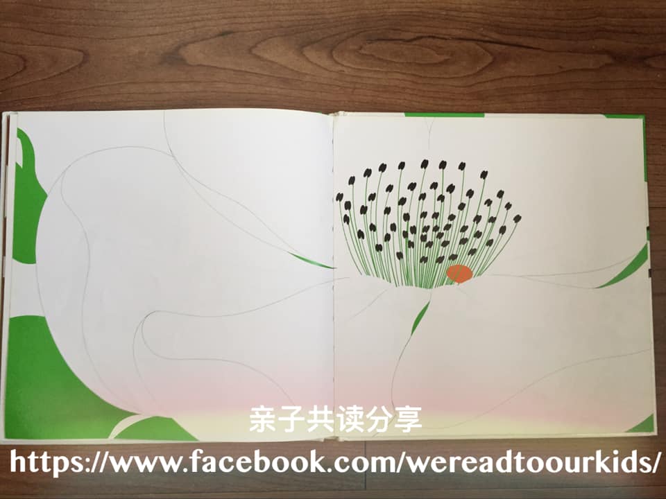 The Apple and the Butterfly 内页