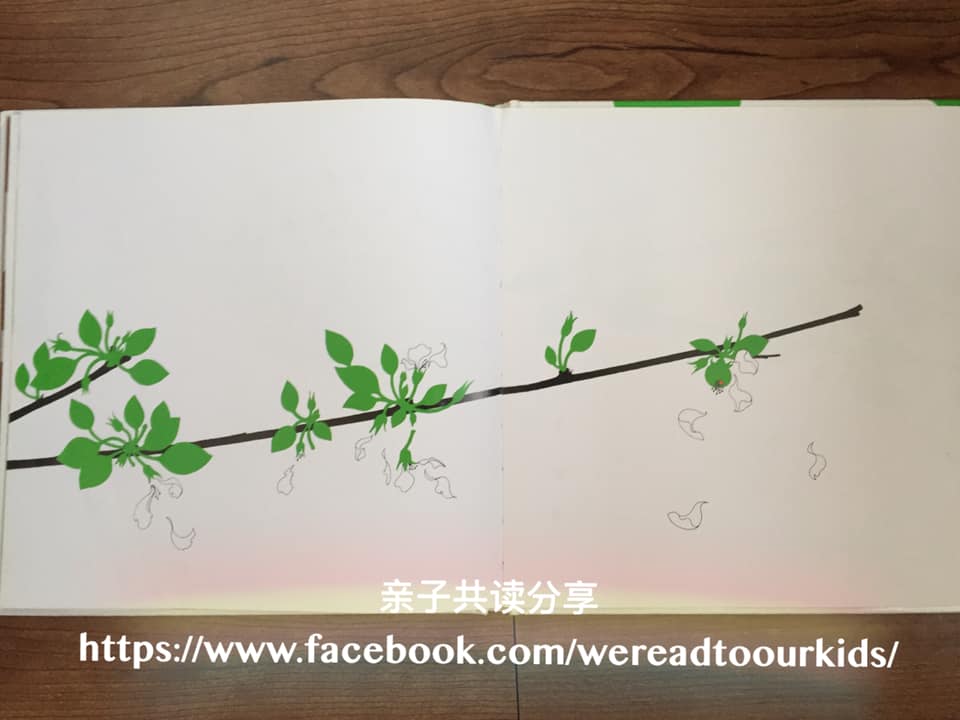 The Apple and the Butterfly 内页