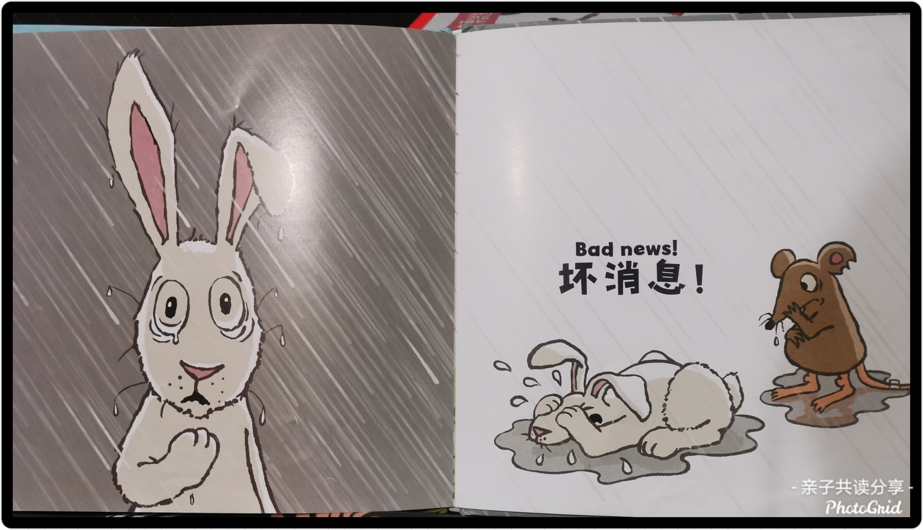 《好消息坏消息》内页- 兔子泪崩了
