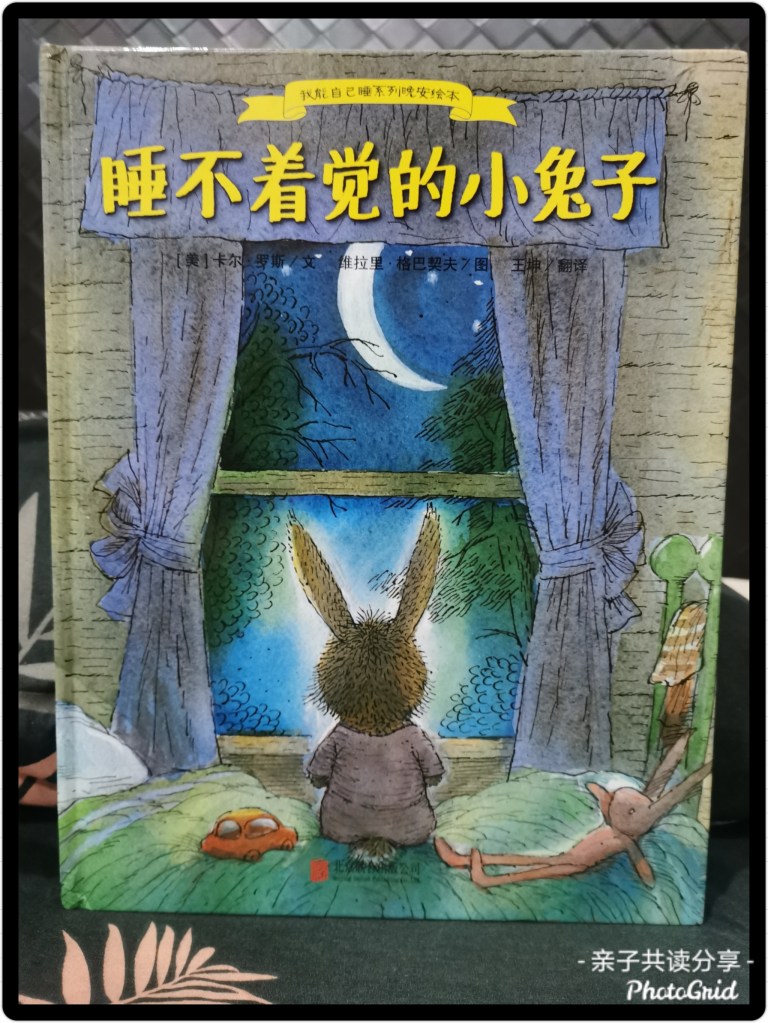 《睡不着觉的小兔子》封面
