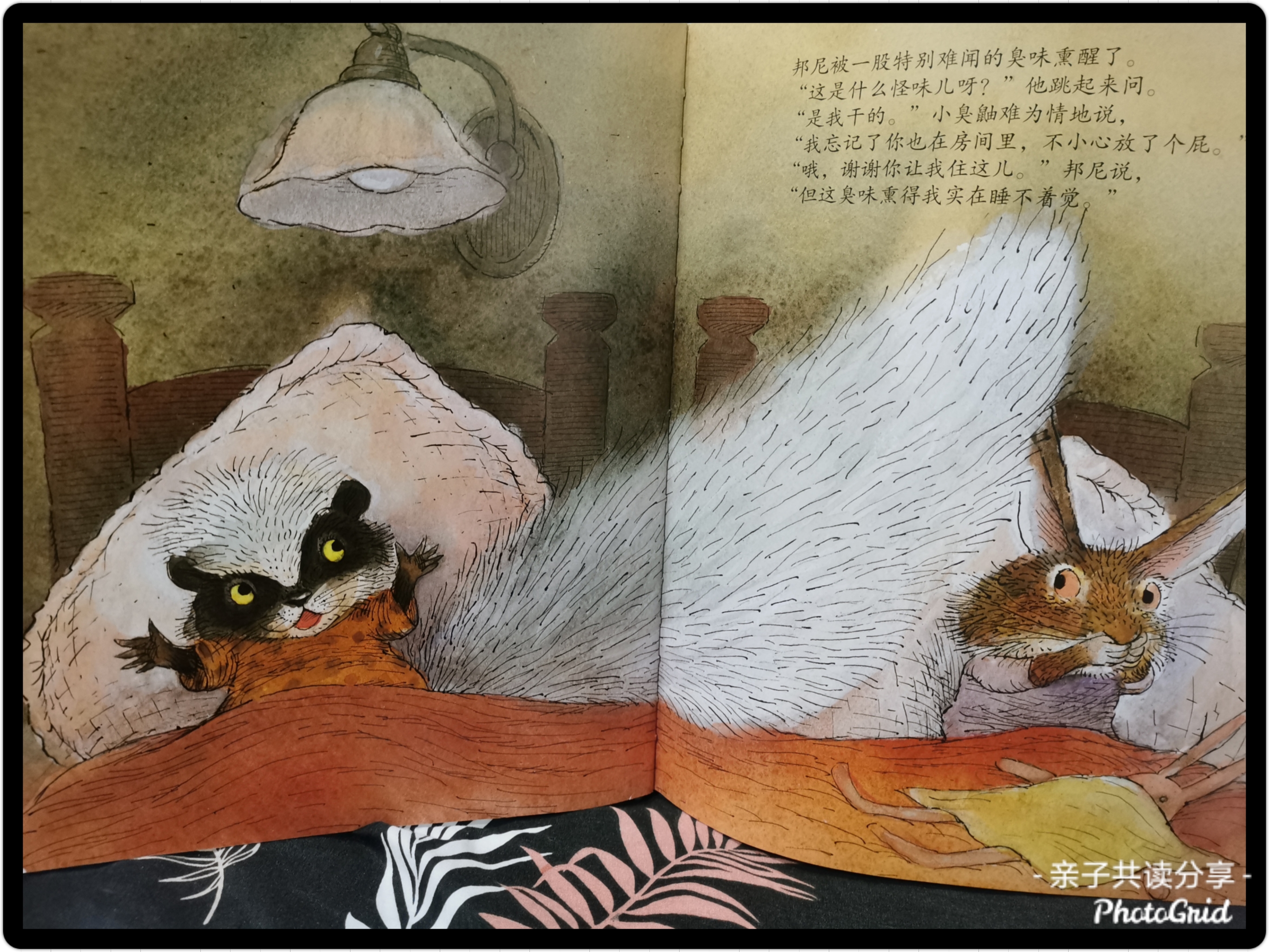 《睡不着觉的小兔子》内页